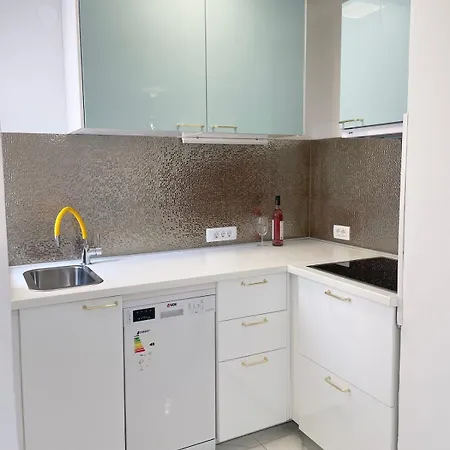 Two Bedroom App In With Sea View, Terrace&parking ראבני